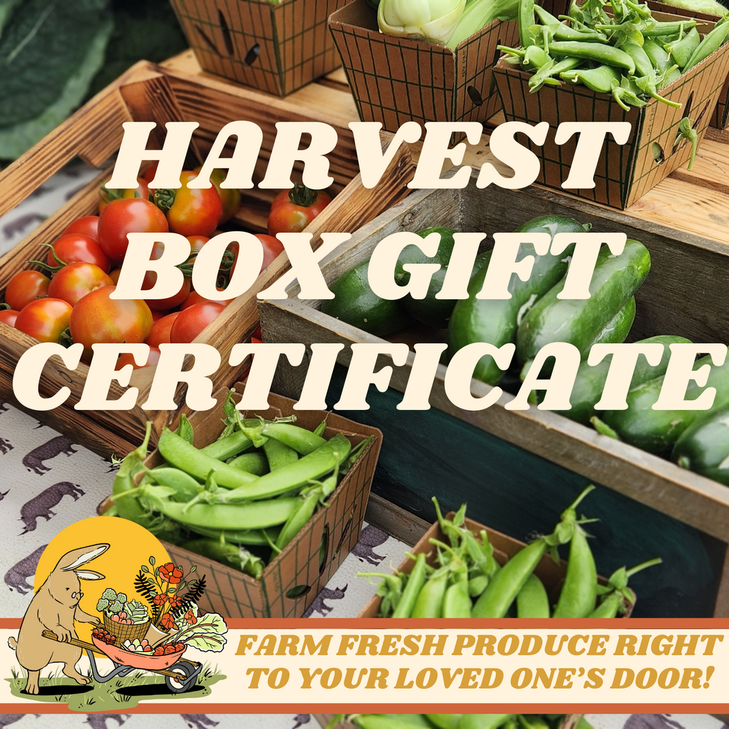 Harvest Box Gift Certificate